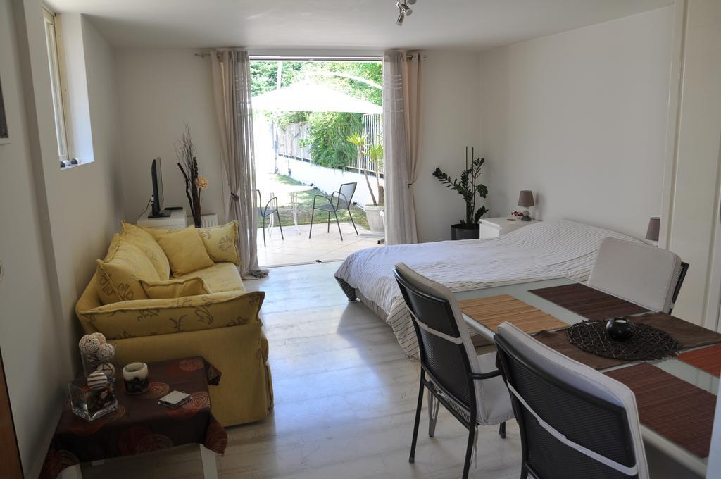 Cosy Studio With Garden / Individual Apartment アテネ エクステリア 写真